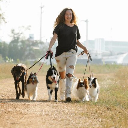 Walking